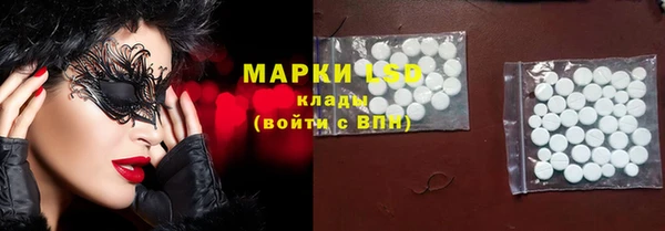 соль ск Новодвинск