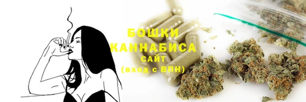 соль ск Новодвинск