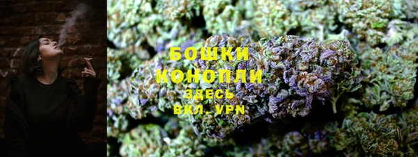 соль ск Новодвинск
