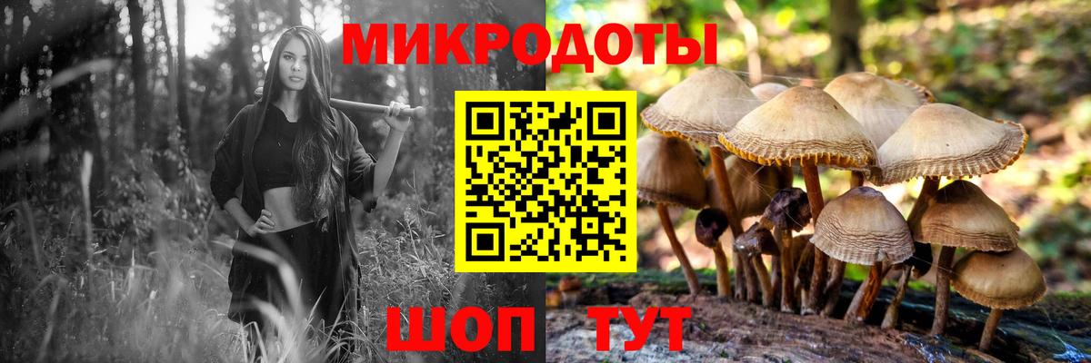 Псилоцибиновые грибы прущие грибы Сафоново
